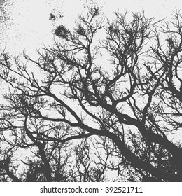 tree and branches silhouette. detailed vector illustration