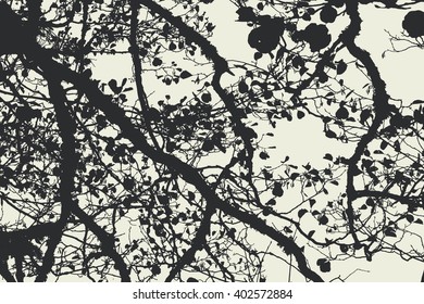 tree and branches silhouette. detailed vector illustration