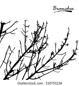 Tree and branches silhouette. Detailed vector illustration