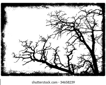 tree branches silhouette in grunge frame vector illustration