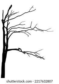Baum-Zweige Silhouette einzeln auf weißem Hintergrund, Nahaufnahme, geschäftliche Nutzung, Vektorbild 
