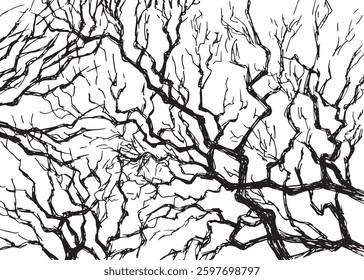 Tree branches silhouette isolated on white background. Vector illustration forest design and element landscape season, art and decoration abstract outdoor
