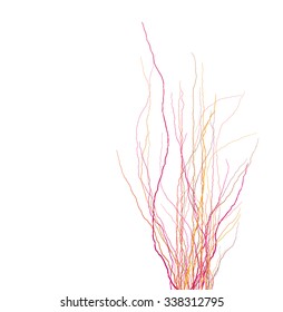 tree branches silhouette in multiple color over black