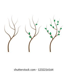 Tree branches silhouette. Set of branch tree vector illustration