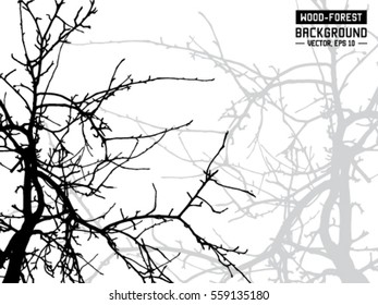 Tree branches silhouette. Vector and illustration.