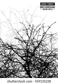 Tree branches silhouette. Vector and illustration.
