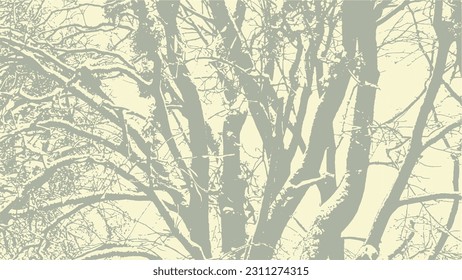 Tree branches with snow in winter texture, vector abstract natural grunge background.