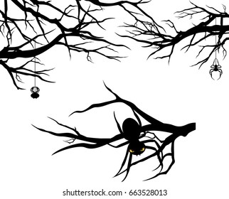 tree branches and spiders - halloween theme vector design set