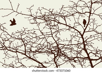 tree branches in spring