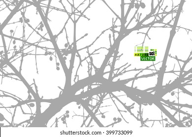 tree branches tracing background. Vector