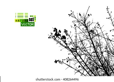tree branches tracing background. Vector