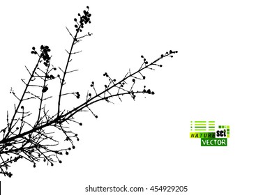 tree branches tracing background. Vector