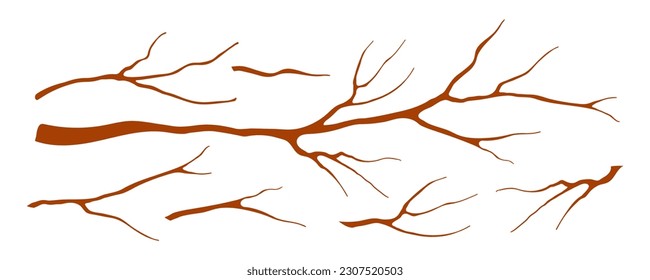 Tree branches, twigs, sticks design elements collection, clipart set, isolated on white. Hand drawn vector illustration. Modern flat style. Botanical, plant element, wood