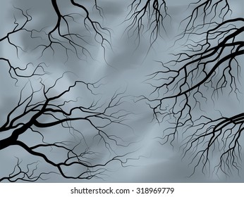 tree branches under the stormy sky