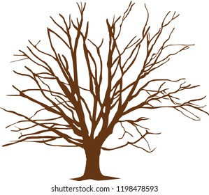 tree branches vecktor illustration