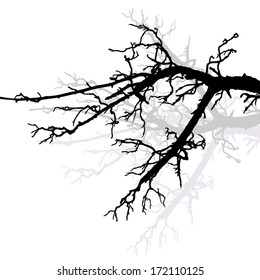 tree branches. Vector