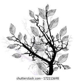 tree branches. Vector