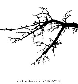 tree branches. Vector 
