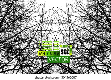 tree branches. Vector