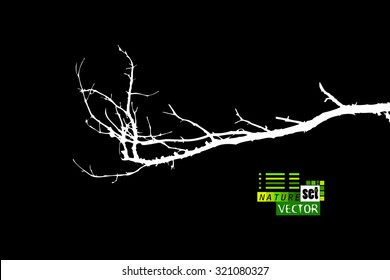 Tree branches. Vector