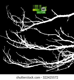 Tree branches. Vector