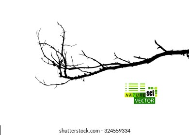 Tree branches. Vector