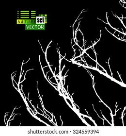 Tree branches. Vector