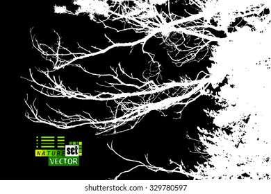 Tree branches. Vector