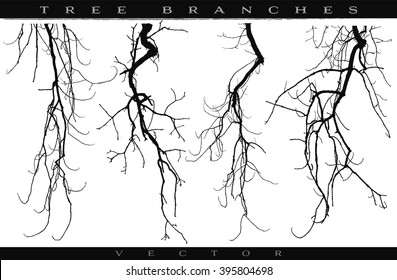 Tree branches vector