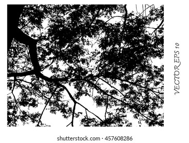 tree branches vector