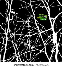 tree branches. Vector