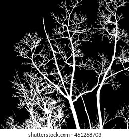 tree branches. Vector