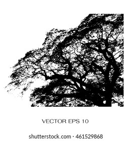 tree branches vector