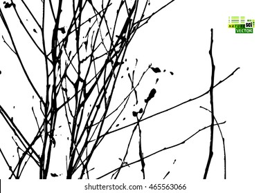 tree branches. Vector