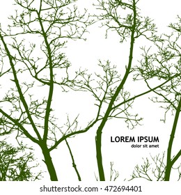tree branches. Vector