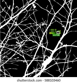 tree branches. Vector