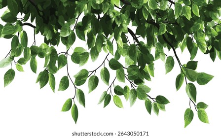 Tree branches vector, serenity green leaves, peaceful nature illustrations, transparent background, foliage design, green leaf art, environmental graphics, eco friendly illustration