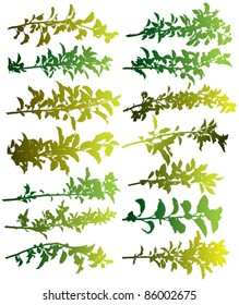 Tree branches vector silhouettes set, fruit tree branches on white background collection.