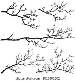 Tree branches without leaves. Black silhouettes on a white background.