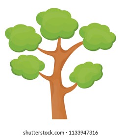 
Tree with brown stem and green leaves structured in colonies, this is hangman’s elm tree  
