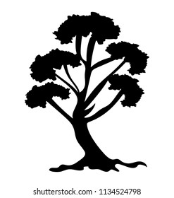 
Tree with brown stem and green leaves structured in colonies, this is hangman’s elm tree  
