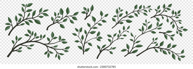 Tree Brunch Icon Set Isolated. Flat Cartoon Simple Twig with Green Leaves Collection. Design Decorative Elements. Spring, Summer Leaves, Brunches, Plants, Leaves, Herbs. Vector Illustration