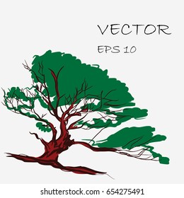 tree brush vector illustration