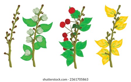 tree bud isolated vector illustration on white background