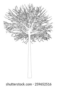 Tree bush - bare branches - black silhouette outlines - on white background - isolated vector