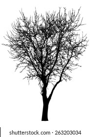 Tree - bush - bare branches - black silhouette - on white background - isolated vector