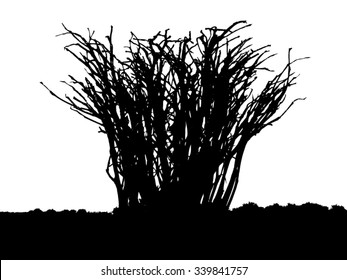 Tree - bush - bare branches - black silhouette - on white background - isolated vector
