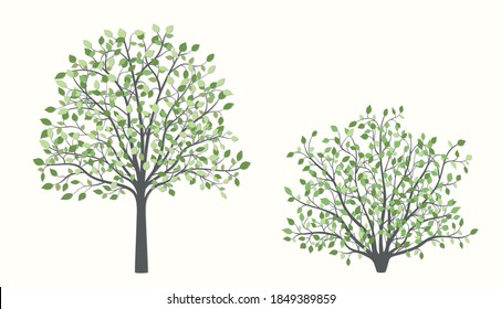 Tree and bush with green leaves in the same style on a white background