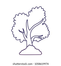 Tree with bush isolated