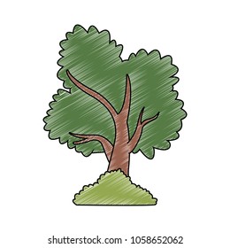 Tree with bush isolated